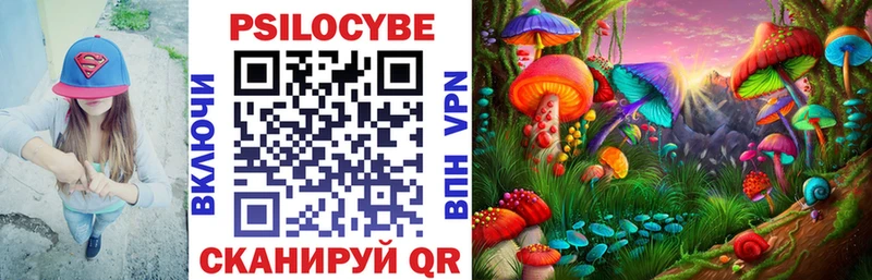 Галлюциногенные грибы Magic Shrooms  Купить  Мосальск 